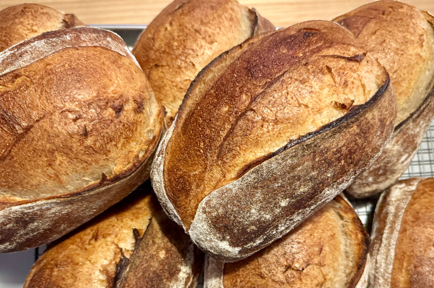 Organic Whole wheat sourdough