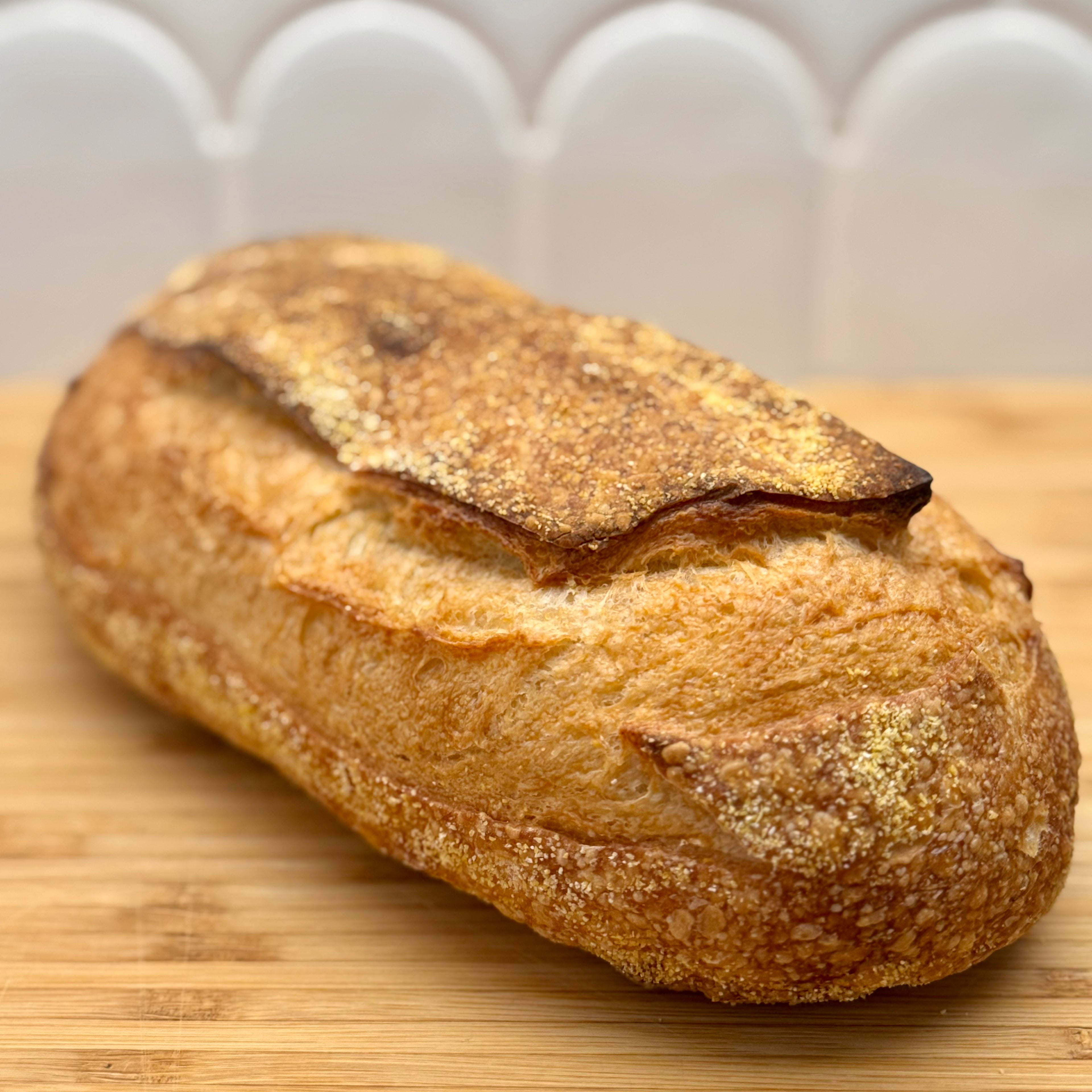 Toasted Corn Meal White Sour dough